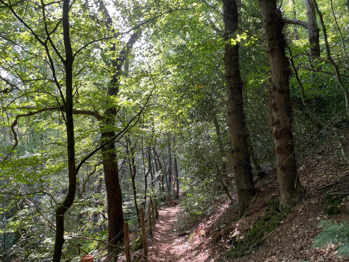 The Forester Schoorl Eksteriør bilde