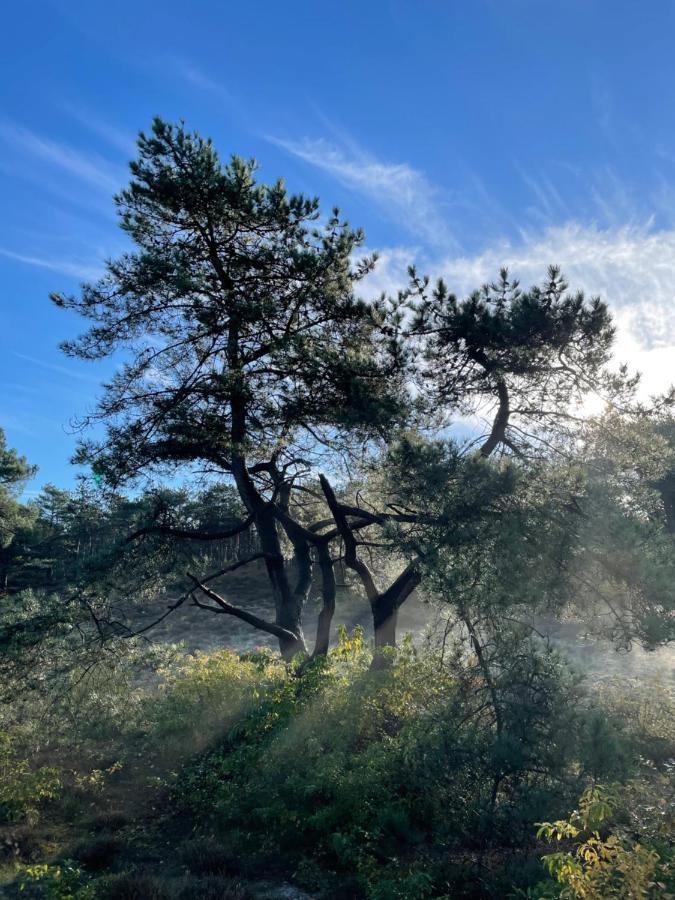 The Forester Schoorl Eksteriør bilde
